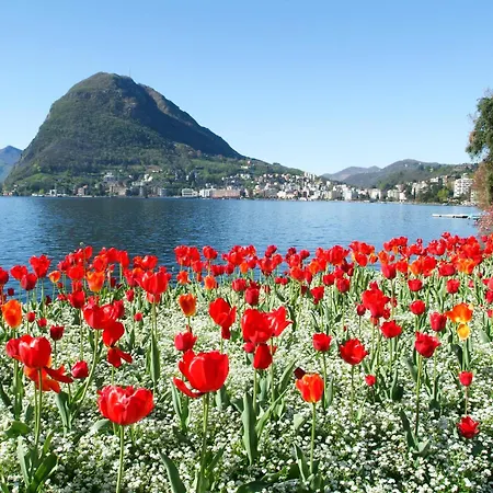 Viganello Luxury Apartment Lugano